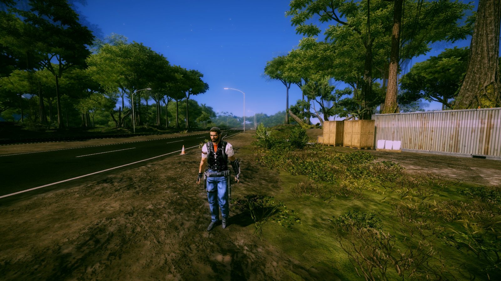 where to put just cause 2 mods