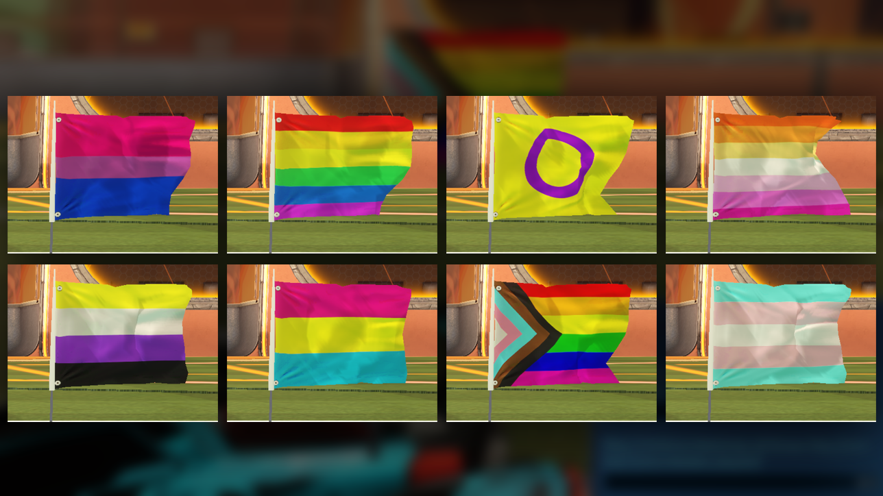 LGBTQ+ Pride Flags (Bundle of 8) 🌈