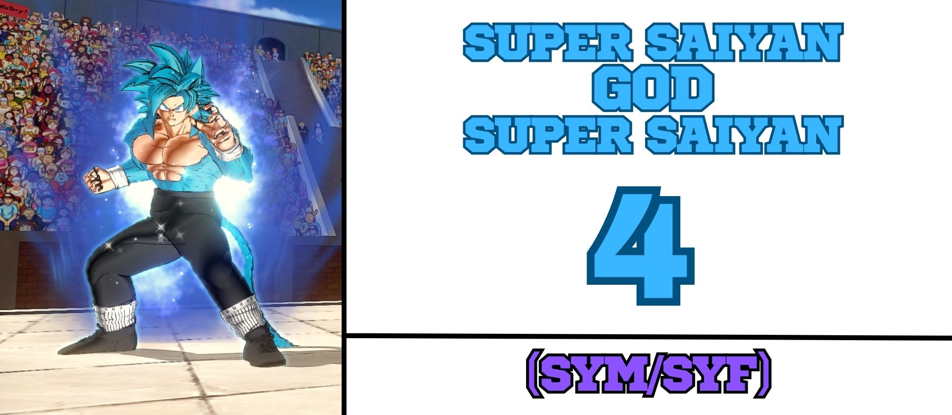 Super Saiyan God Super Saiyan 4 (SYM/SYF)
