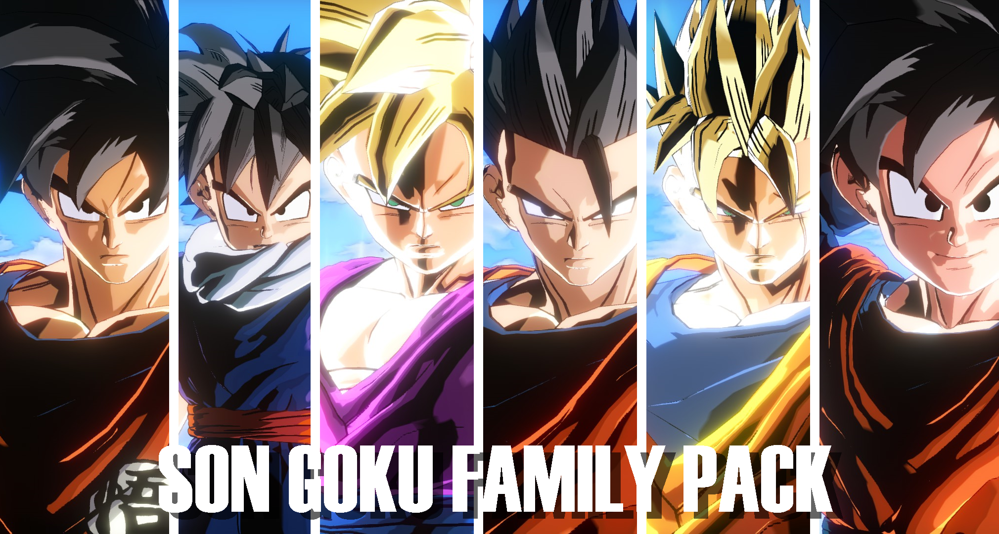 DRAGON BALL XENOVERSE RESKIN: The Son Goku Family Pack
